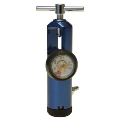 Buy Graham Field Oxygen Regulator