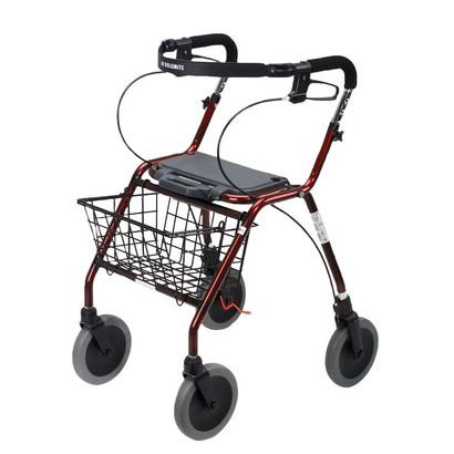 Buy Clarke Dolomite Legacy Walker