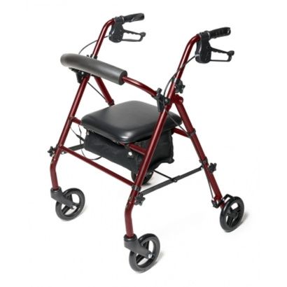 Buy Graham-Field Lumex Walkabout Steel Knock Down Rollator