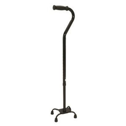 Buy ProBasics Quad Walking Cane