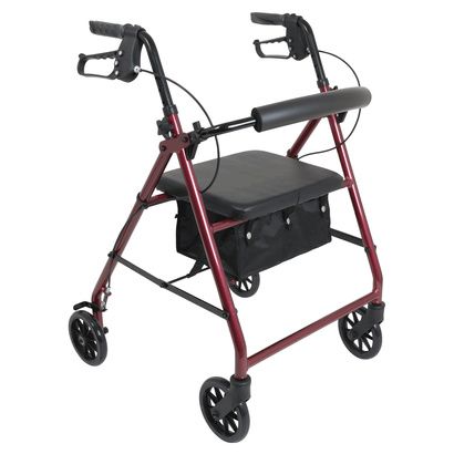 Buy ProBasics Aluminum Rollator with Six Inch Wheels