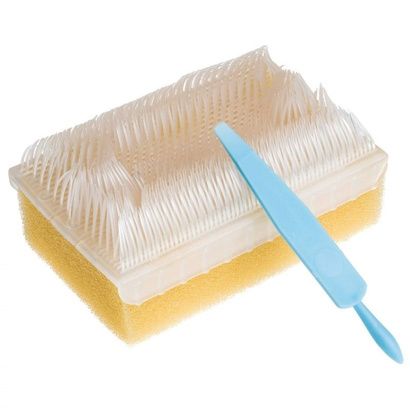 Buy BD E - Z Surgical Scrub