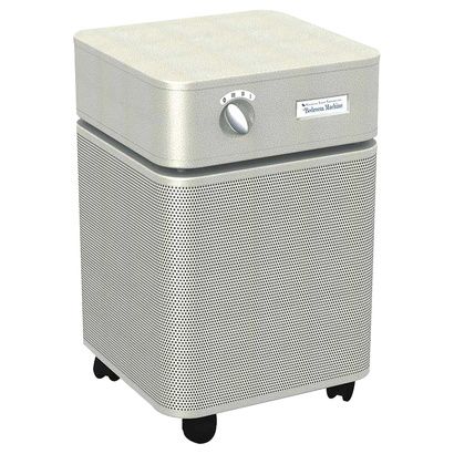 Buy Austin Air HM402 Bedroom Machine Air Purifier