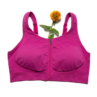 Buy Prairie Wear Hugger Vida Compression Bra