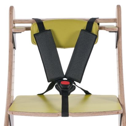 Buy Smirthwaite 5-Point Harness