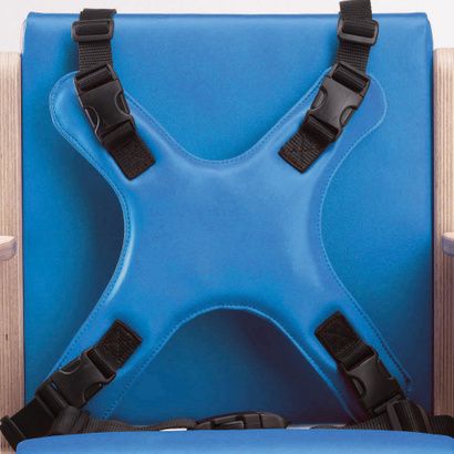 Buy Smirthwaite 4-Point Harness