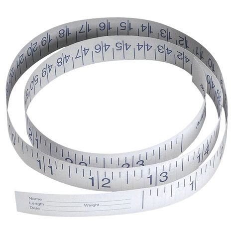 Measeuning Paper Medline Paper Measuring Tape