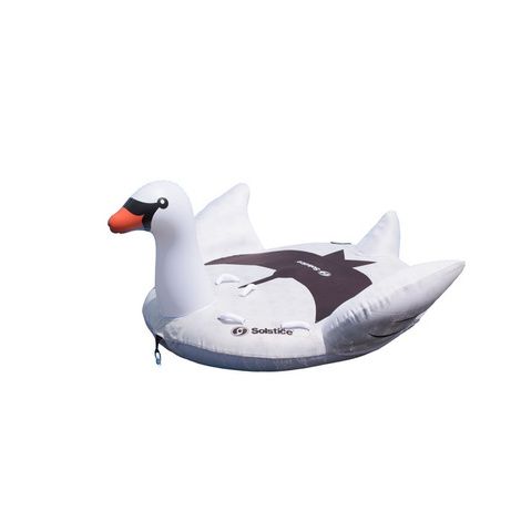 4220215833swimline-2-person-