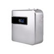 echo-h2-server