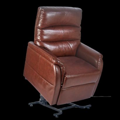 Buy Golden Tech Elara Power Lift Recliner Chair