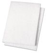 Boardwalk Light Duty Scour Pad