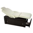 Touch America Violin powertilt Massage Table-White