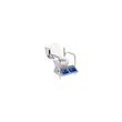 Toilet Support System with Armrest