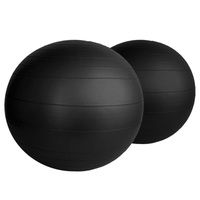 Buy Aeromat Ball Chair Replacement Ball
