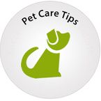 Pet Care Tips